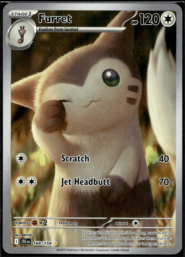Furret (JTG 168) - Englisch